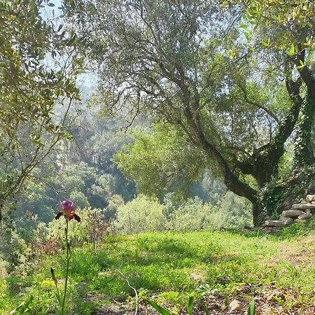 Casa Das Janelinhas - Cottage Near Sintra, Mafra, Ericeira Екстер'єр фото