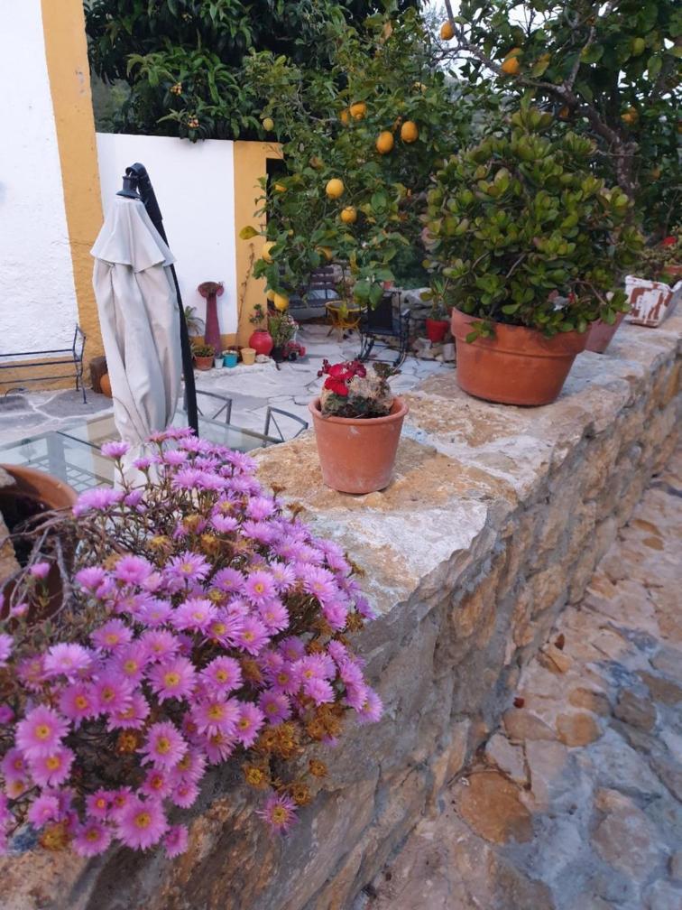 Casa Das Janelinhas - Cottage Near Sintra, Mafra, Ericeira Екстер'єр фото