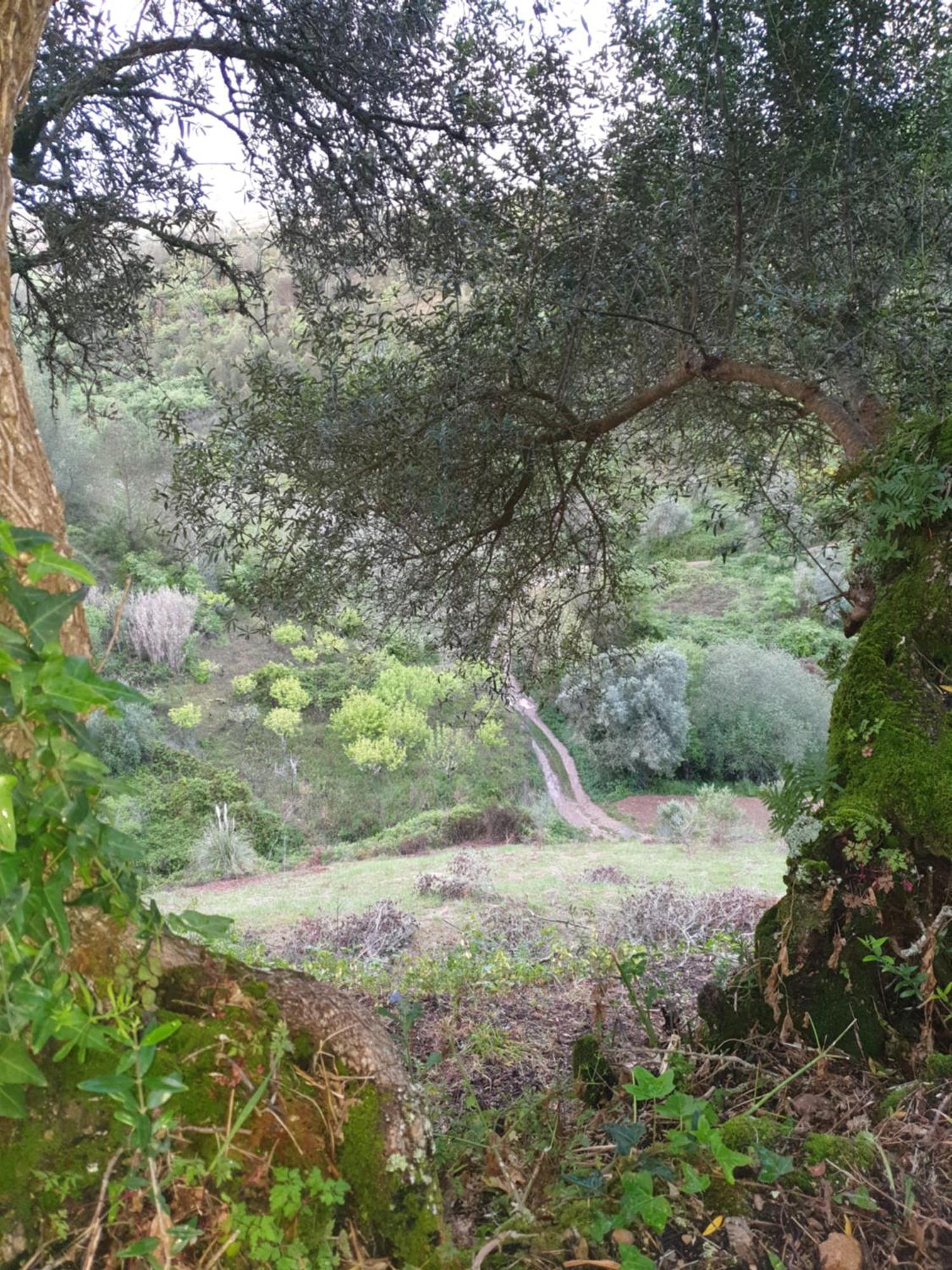 Casa Das Janelinhas - Cottage Near Sintra, Mafra, Ericeira Екстер'єр фото